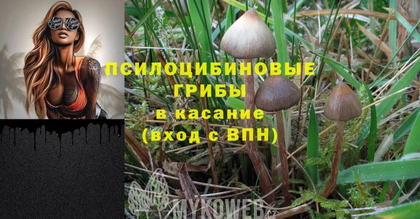 твердый Алексин