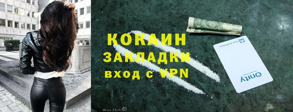 твердый Алексин