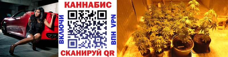 сколько стоит  shop какой сайт  МАРИХУАНА THC 21%  Суджа 